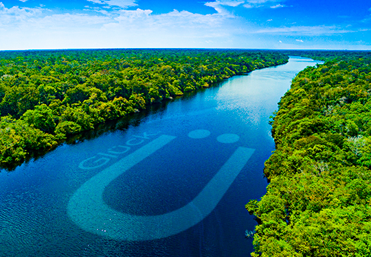 Floresta Amazônica: A Maior Floresta Tropical do Mundo