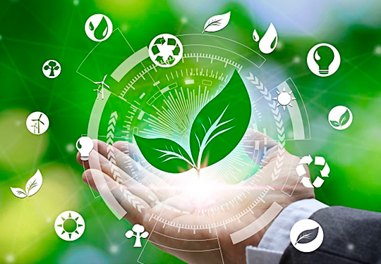 Créditos de Carbono: O que são e quais são os seus benefícios para o meio ambiente?