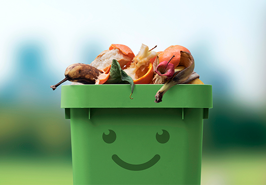 Como aproveitar bem os alimentos e evitar desperdício?